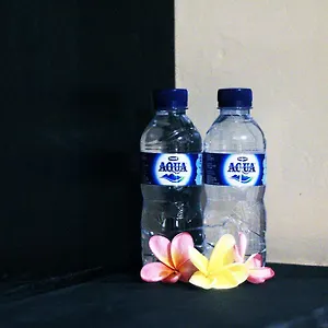 Homestay Ulu Bali Indonesia